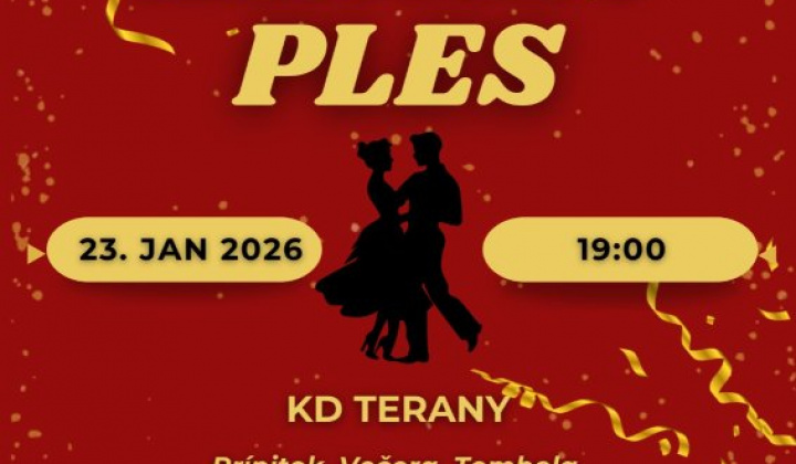 Fotka - Hasičský ples